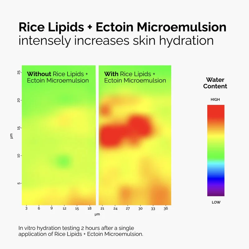 The Ordinary Rice Lipids + Ectoin Microemulsion 60ml - Image 7
